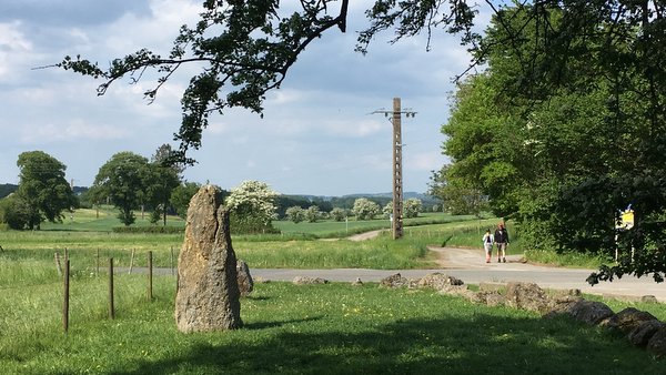 Menhir à Wéris