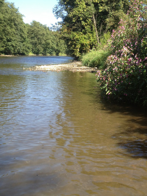 Kayak sur l'Ourthe à Hamoir