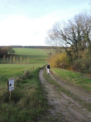 Promenade entre Andenne et Coutisse