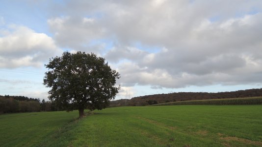 Promenade entre Andenne et Coutisse