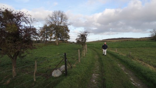 Promenade entre Andenne et Coutisse