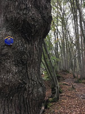 Randonnée entre Angleur et Esneux