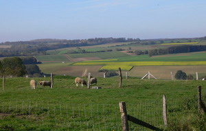 Vue depuis Jassogne