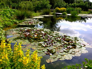 Jardins du Lac de Bambois