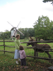 bokrijk