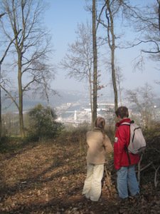 Promenade à Buzet (Floreffe)