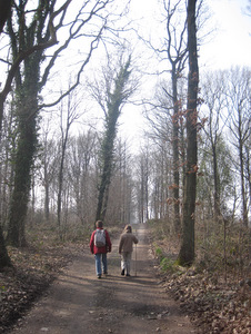 Promenade à Buzet (Floreffe)