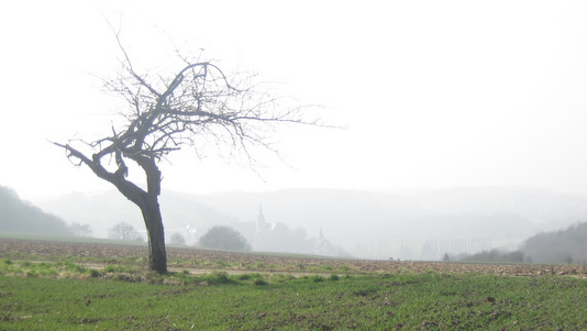 Promenade à Buzet (Floreffe)