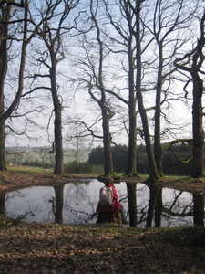 Promenade à Buzet (Floreffe)