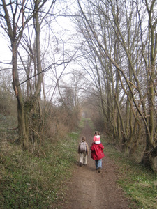 Promenade à Buzet (Floreffe)