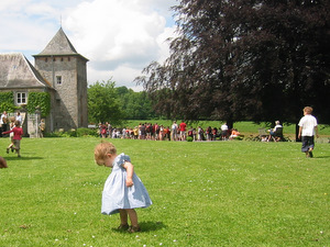 Château de Ry