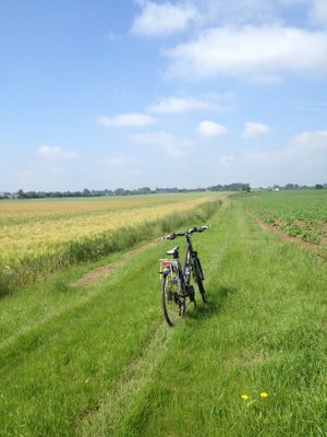 La Chaussée Romaine de Tongres à Bavay