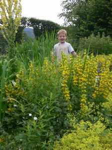 Domaine Provincial de Chevetogne