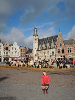 Visite de Dendermonde