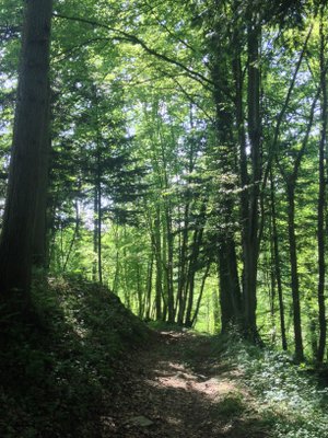 A pied de Dinant à Foy-Notre-Dame