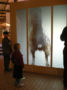 Les dinosaures au museum d'histoire naturelle