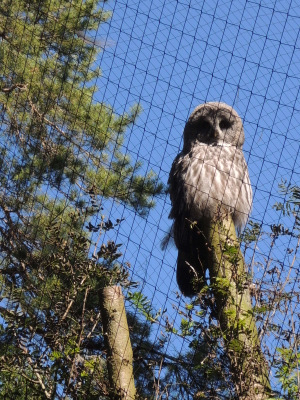 Le domaine animalier des grottes de Han