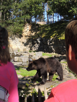 Le domaine animalier des grottes de Han