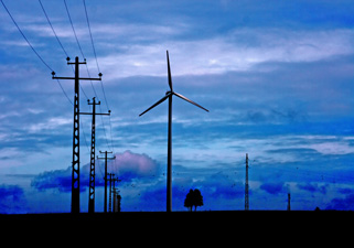 Eoliennes avant d'arriver à Bastogne