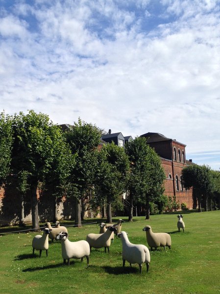 Expo Clouds au château du Roeulx