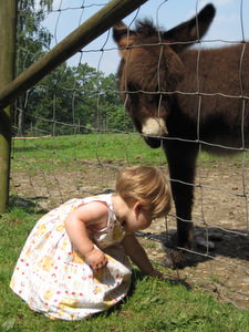 Forestia : le parc animalier