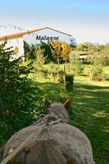 Fête d'automne à Malagne la Gallo Romaine