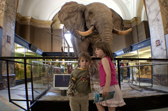 Musée de l'Afrique centrale, Tervuren