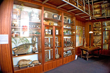 Nature Extraordinary Museum, Chevetogne