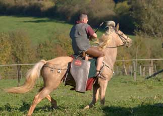 Démonstration d'équitation