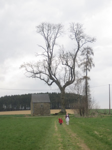 Promenade autour de Skeuvre, Natoye, Florée