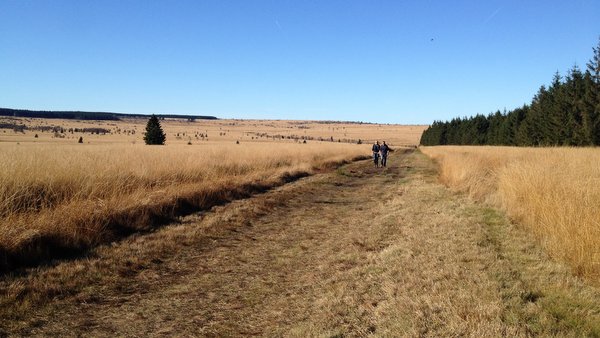 Randonnée autour de la fagne wallone