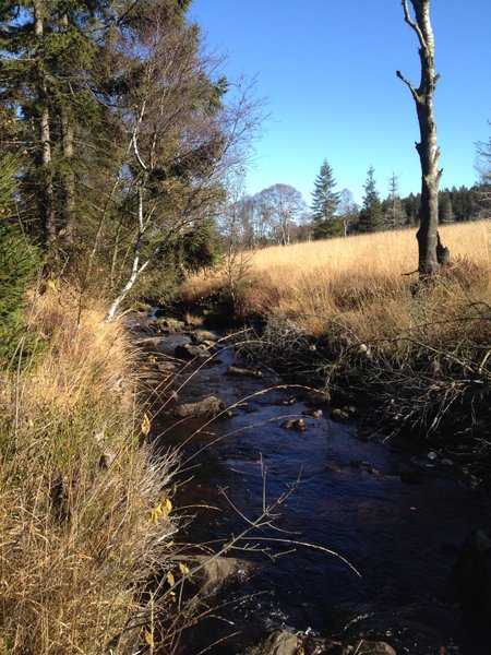 Randonnée autour de la fagne wallone