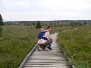 Promenade dans les Hautes Fagnes