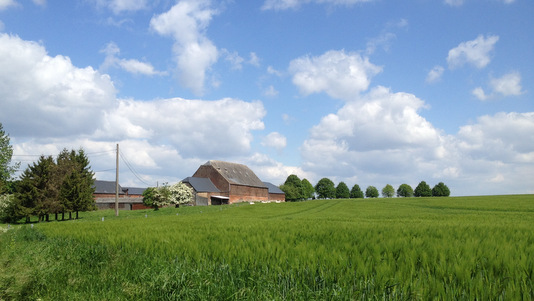 Promenade à vélo au sud de Gembloux