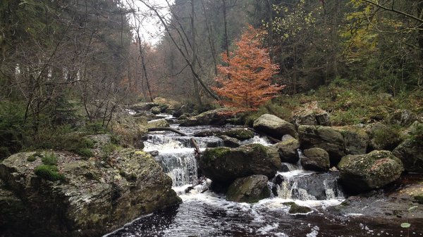 Vallée de la Hoëgne en automne