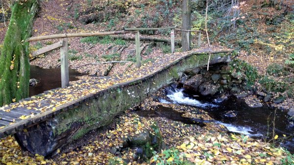 Vallée de la Hoëgne en automne