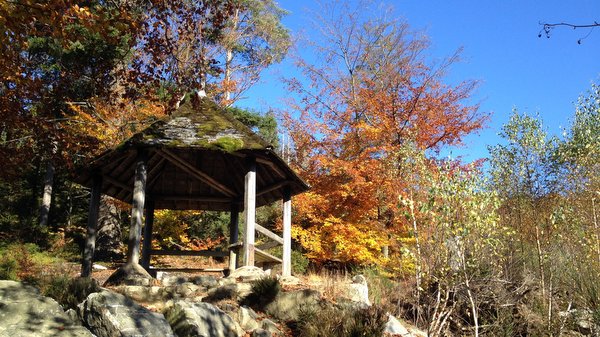 Vallée de la Hoëgne en automne