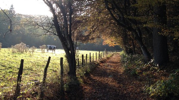 Vallée de la Hoëgne en automne