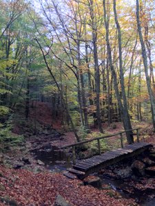 Vallée de la Hoëgne en automne