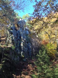 Vallée de la Hoëgne en automne