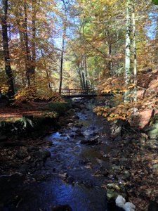 Vallée de la Hoëgne en automne