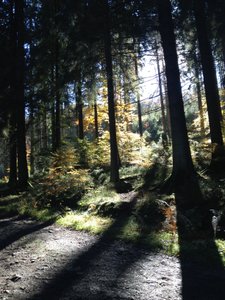 Vallée de la Hoëgne en automne