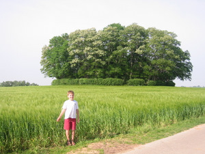 Le tumulus de Hottomont