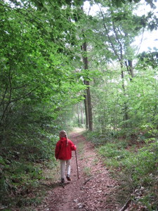 Promenade en boucle entre Huy et Ben Ahin