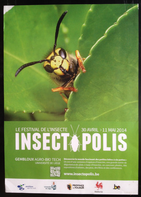 Insectopolis