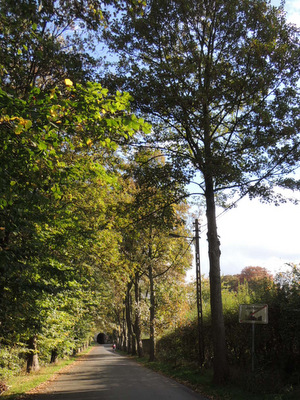 Promenade nature à Jambes