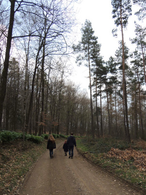 Promenade de Jemelle à Marloie