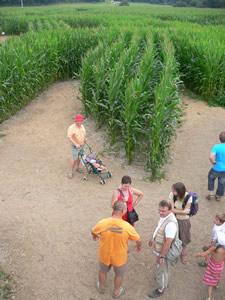 Le labyrinthe de Barvaux en 2008