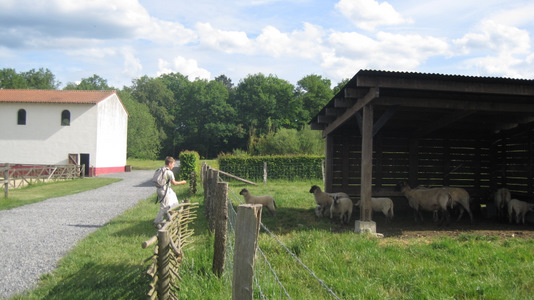 Malagne : archéoparc gallo-romain