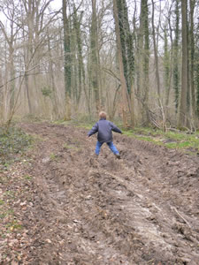 Promenade dans la forêt de Marche-les-Dames